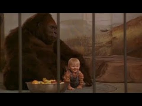 Bebek Firarda: King Kong fena sinirlendi Part 2