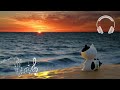 海を眺めながら砂浜で波の音を聞く環境音や自然音