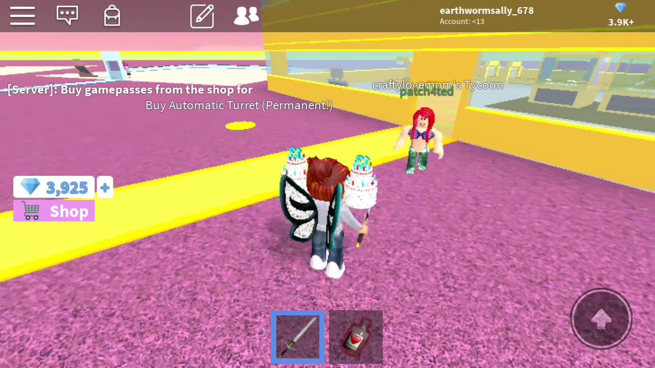 roblox princess package