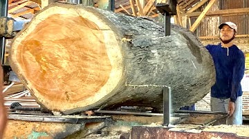 Big and short teak wood in sawmill board material 10x40