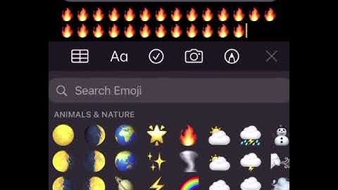 Tnt tez~Back on ruff(extended snippet)