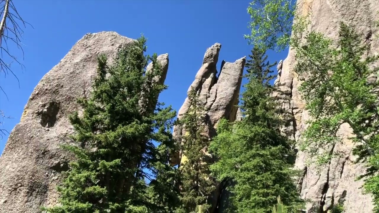 Black Hills SD   Cathedral Spires trail   June 2020