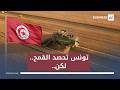 موسم مميز لإنتاح الحبوب في تونس فلماذا ستستورد القمح