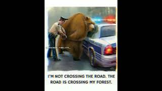 I'M NOT CROSSING THE ROAD. THE ROAD IS CROSSING MY FOREST | #shorts #true #saveforest 