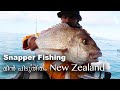 Snapper Fishing in  New Zealand | ന്യൂസീലാൻഡ് മീൻ പിടുത്തം|   NZ Malayalam Vlog | Naveen Job