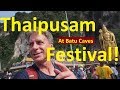 Overwhelmed by the Thaipusam Hindu Festival (2019) at Batu Caves - Once in a lifetime experience!