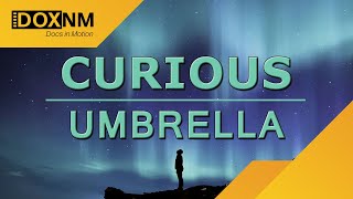 Curious | Umbrella