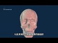 科学探索飞船-原来人类的头骨并不是一个整体，带...普 #人类头骨 #人体结构 #人体奥秘