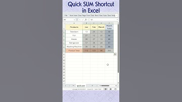 Quickly Calculate SUM Total in Excel
