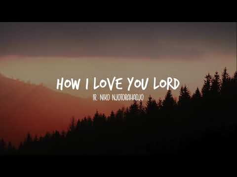 Ir  Niko Njotorahadjo - How I love You Lord