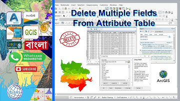 Delete Columns in the ArcGIS Attribute Table | Delete Multiple fields from Attribute table in ArcGIS