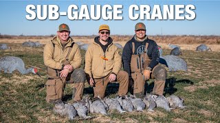 We Took Turns Shooting Cranes with a 28 Gauge!!! (LIMITED OUT)