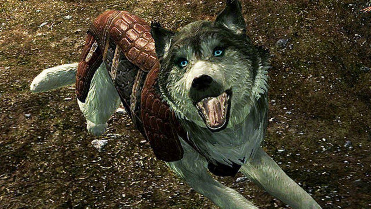 Where to find the Husky Dogs followers (in Fort Dawnguard) Skyrim Dawnguard DLC YouTube
