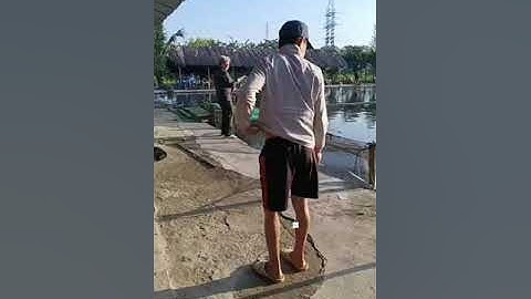 Vlogs 6 khui hồ - Hồ Câu Tân Bình Dương 0865118773 KP3, P. Tân Định, Bến Cát, BD || Thầy Duy Vlogs