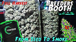 Breeders Booth Ep. 11 | Full Harvest | From Seed To Smoke | Complete Grow Journey ( Using Trim Bag )