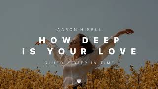 Hans Zimmer x Bicep x How Deep Is Your Love (Aaron Hibell Edit) #trance Resimi