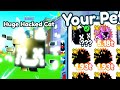 😳I Spent MAX COINS and GOT HACKED CAT in Pet Simulator X (Roblox)