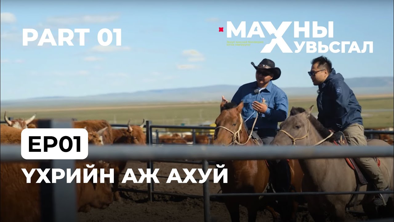Үхрийн аж ахуй (Part1) | Ep1