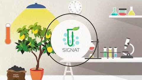 H2020 SIGNAT Project