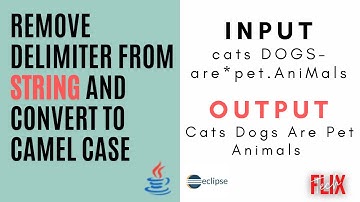 How to remove special characters from string and convert to Camel Case | Placement Questions