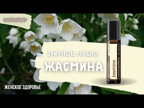 🌿Жасмин - эфирное масло для женского здоровья | Природный источник фитоэстрогенов