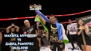 Махмуд Мурадов Vs Давид Рамирес Реванш Xfn Чемпион Махмуд Мурадов