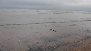 Vortex Walks On The Beach