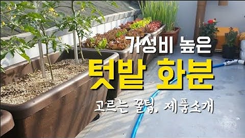 텃밭 화분 소개 ㅣ옥상 텃밭박스 추천 ㅣ대형 플라스틱 화분 ㅣgarden flowerpot ㅣ마이플랜트