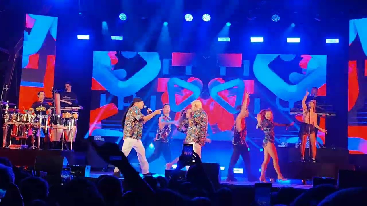 Némanus - Oliveira de Frades - Festival - 🐓 Frango 🐔do🐓Campo 🐓 - 2024