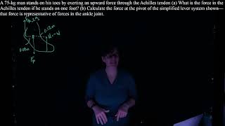 Static Equilibrium Example Problem - standing on toes
