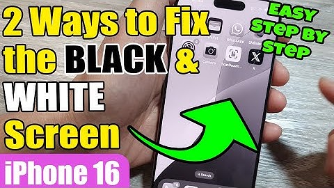 🎨 2 Ways to Fix the BLACK & WHITE Screen on the iPhone 16/16 Pro Max