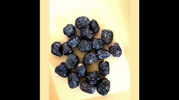 Organic Dates in Bulk India | Trusted Wholesale Supplier