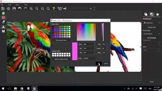 How to remove background using PhotoScissors screenshot 4