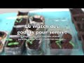 Comparatif des godets pour semis dégradables | tourbe, fibre de coco, papier journal, coquille d'œu