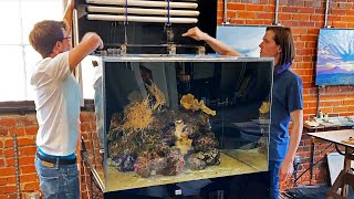 Moving a 15 Year Old FULL Reef Tank Setup