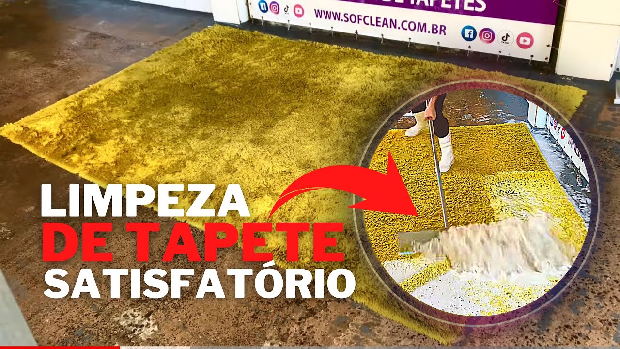 Limpeza de Tapete Profunda e Satisfatria