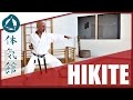 How to hikite  shtkan karate tip by fiore tartaglia