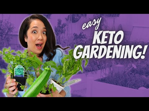 Video: Keto prijazen zelenjavni vrt: kaj gojiti v keto vrtu