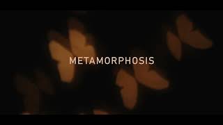 Kayou. - Metamorphosis 🦋