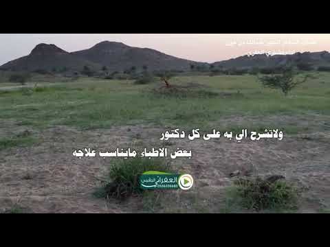 شيلة ياسعود بشرني عسى نجد ممطور كلمات الشاعر الكبير عبدالله بن عون اداء مشاري العفري 