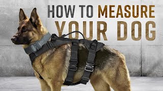 Modular Ballistic Vest Working Dog Protection Patrol K9 Tactical Armor