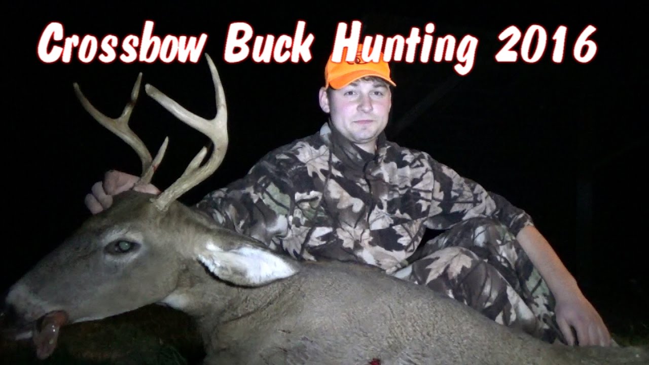 Crossbow Buck Hunt Pennsylvania 2016 YouTube