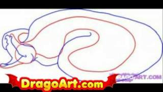 Details How to draw a Ball Python, step by step News