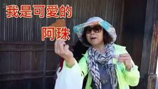 1050517日本行腳錄影4