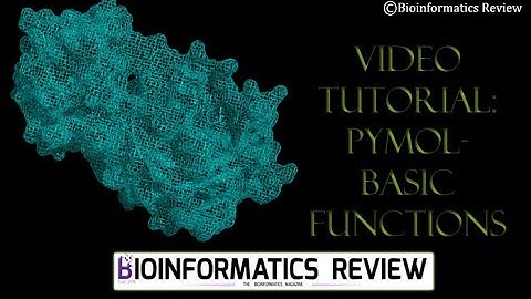 Video Tutorial: Basic PyMol Functions