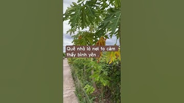 Em mới lập YouTube mong được cả nhà ủng hộ ạ.Cho em một nút đăng ký với ạ ,em xin chân thành cảm ơn