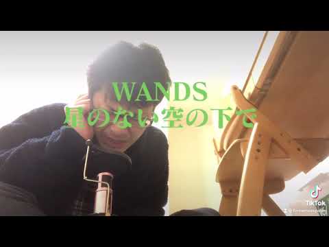 アカペラで歌ってみた　星のない空の下で　WANDS
