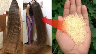 GROW YOUR HAIR FASTER AND LONGER With RICE WATER (WORKS 100%) - ASMR