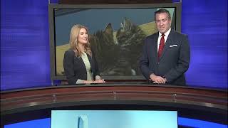 FOX 25 News at 5