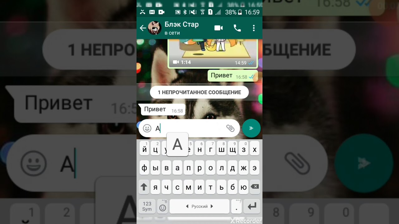 Затролила блэк стар 😂😎 - YouTube